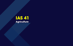 IAS 41 Nông nghiệp